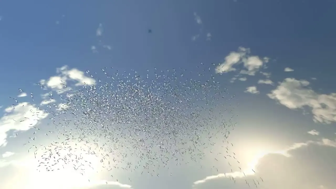 Flight